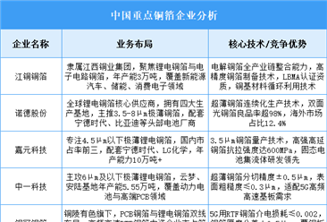 2025年中国铜箔重点企业业务布局预测分析（图）