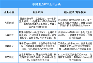 2025年中國(guó)MCU重點(diǎn)企業(yè)業(yè)務(wù)布局預(yù)測(cè)分析（圖）