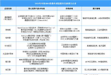 2025年中国CMOS图像传感器最具发展潜力企业（附名单）