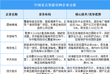 2025年中国智能电网重点企业业务布局预测分析（图）