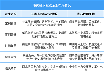 2025年中国取向硅钢产量及企业布局情况预测分析（图）