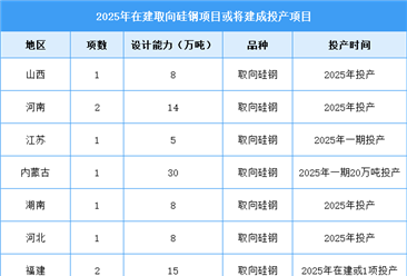 2025年中国取向硅钢产量及在建项目预测分析（图）