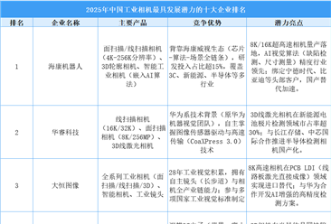 2025年中国工业相机最具发展潜力的十大企业排名（附榜单）