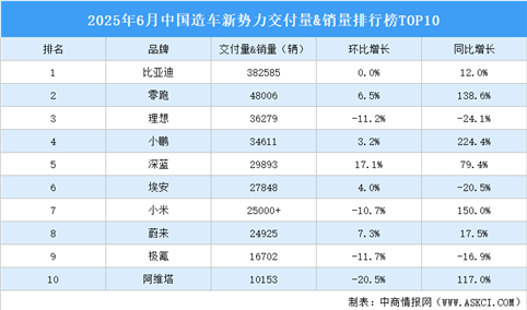 2025年6月中国造车新势力交付量&销量排行榜TOP10（附榜单）
