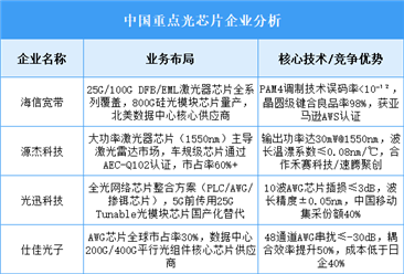 2025年中國光芯片重點企業(yè)業(yè)務(wù)布局預(yù)測分析（圖）