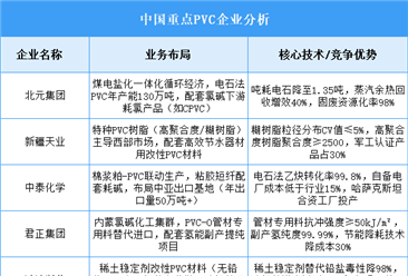 2025年中國(guó)PVC重點(diǎn)企業(yè)業(yè)務(wù)布局預(yù)測(cè)分析（圖）