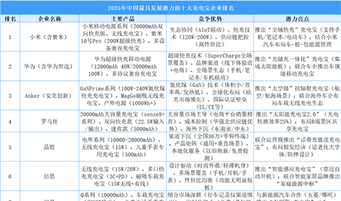 2025年中国最具发展潜力的十大充电宝企业排名（附榜单）