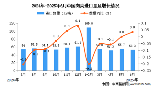 2025年6月中国肉类进口数据统计分析：进口量53.3万吨