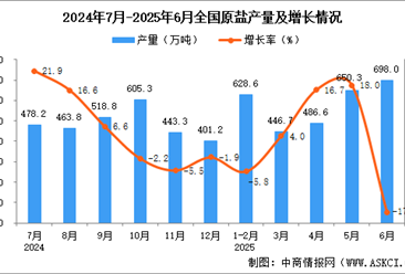 2025年6月全国原盐产量数据统计分析