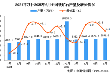 2025年6月全国铁矿石产量数据统计分析
