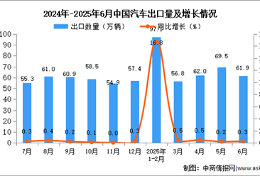 2025年6月中国汽车出口数据统计分析：出口量同比增长0.3%