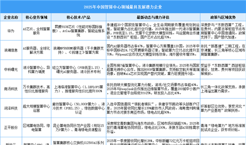 2025年中国智算中心最具发展潜力企业（附名单）