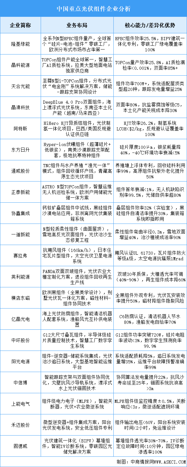 2025年中國光伏組件重點(diǎn)企業(yè)業(yè)務(wù)布局預(yù)測分析（圖）