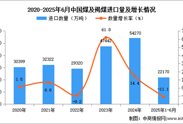 2025年1-6月中国煤及褐煤进口数据统计分析：进口量22170万吨