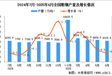 2025年6月全国粗钢产量数据统计分析