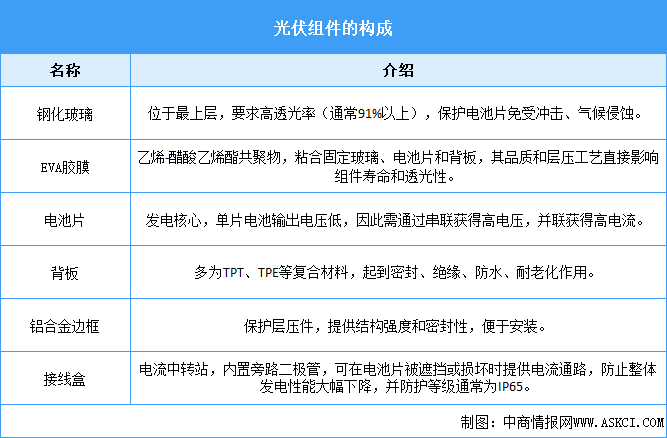 2025年中國光伏組件行業(yè)市場前景預(yù)測研究報告（簡版）