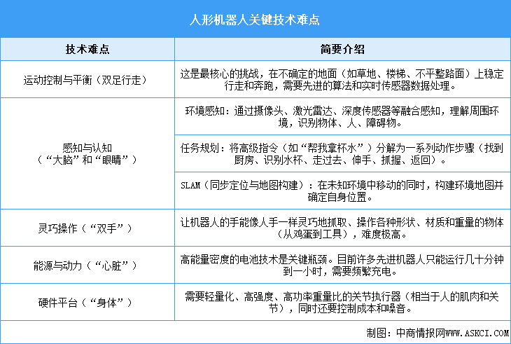 2025年中國(guó)人形機(jī)器人行業(yè)市場(chǎng)前景預(yù)測(cè)研究報(bào)告（簡(jiǎn)版）