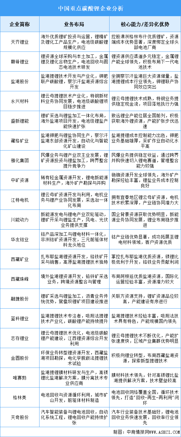 2025年中國碳酸鋰重點(diǎn)企業(yè)業(yè)務(wù)布局分析（圖）