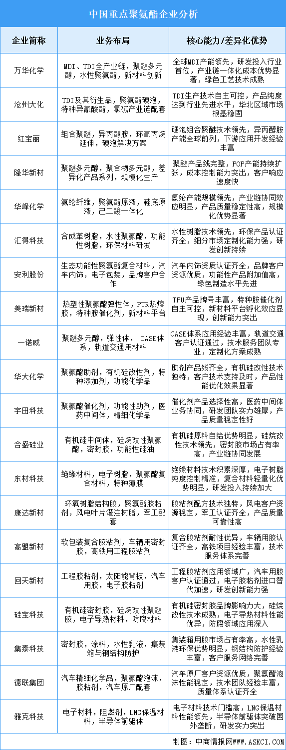 2025年中国聚氨酯重点企业业务布局分析（图）