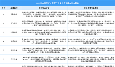 2025年中国医疗大模型行业重点公司综合实力排名