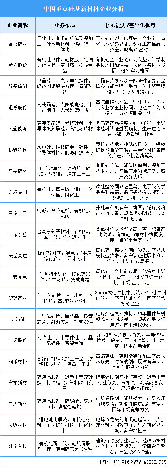 2025年中國硅基新材料重點(diǎn)企業(yè)業(yè)務(wù)布局分析（圖）