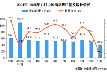 2025年11月中国肉类进口数据统计分析：进口量39.3万吨