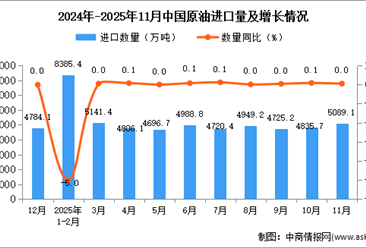 2025年11月中国原油进口数据统计分析：进口量5089.1万吨