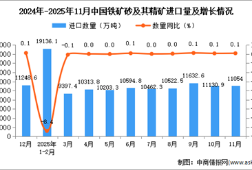 2025年11月中国铁矿砂及其精矿进口数据统计分析：进口量11054万吨