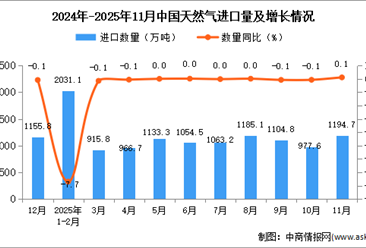 2025年11月中国天然气进口数据统计分析：进口量1194.7万吨