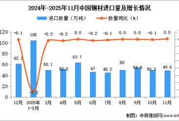 2025年11月中国钢材进口数据统计分析：进口量49.6万吨