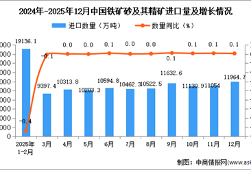 2025年12月中国铁矿砂及其精矿进口数据统计分析：进口量11964.7万吨