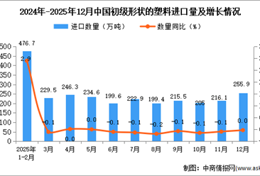 2025年12月中国初级形状的塑料进口数据统计分析：进口量255.9万吨