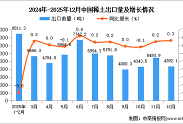2025年12月中国稀土出口数据统计分析：出口量4392.1吨