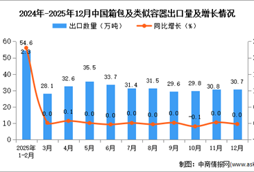 2025年12月中国箱包及类似容器出口数据统计分析：出口量30.7万吨