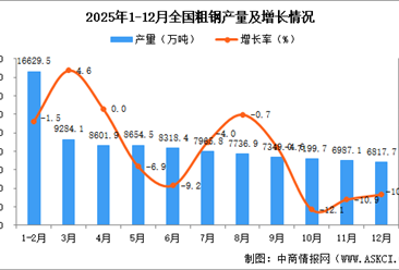 2025年12月全国粗钢产量数据统计分析