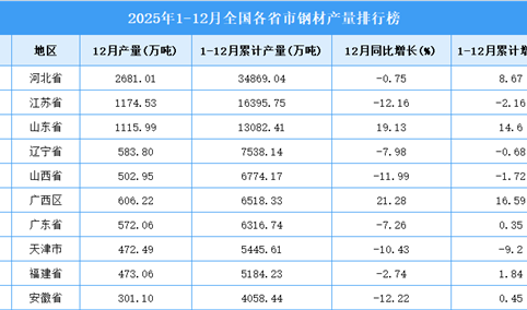 2025年全国各省市钢材产量排行榜