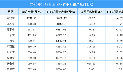 2025年全国各省市粗钢产量排行榜