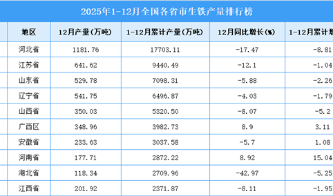 2025年全国各省市生铁产量排行榜