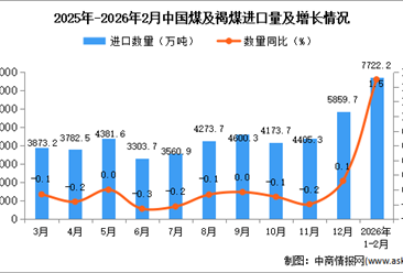 2026年1-2月中国煤及褐煤进口数据统计分析：进口量7722.2万吨