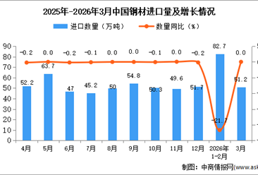 2026年3月中国钢材进口数据统计分析：进口量51.2万吨