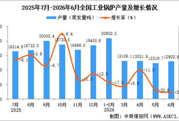 2026年6月全国工业锅炉产量数据统计分析