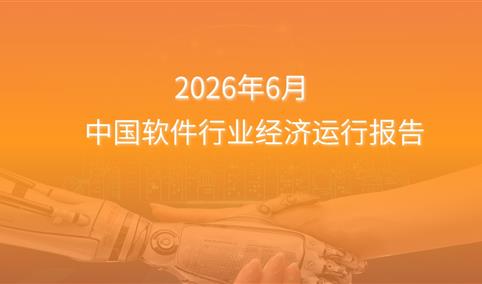2026年1-6月中国软件行业经济运行报告（附全文）