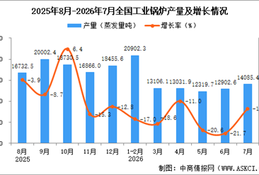 2026年7月全国工业锅炉产量数据统计分析