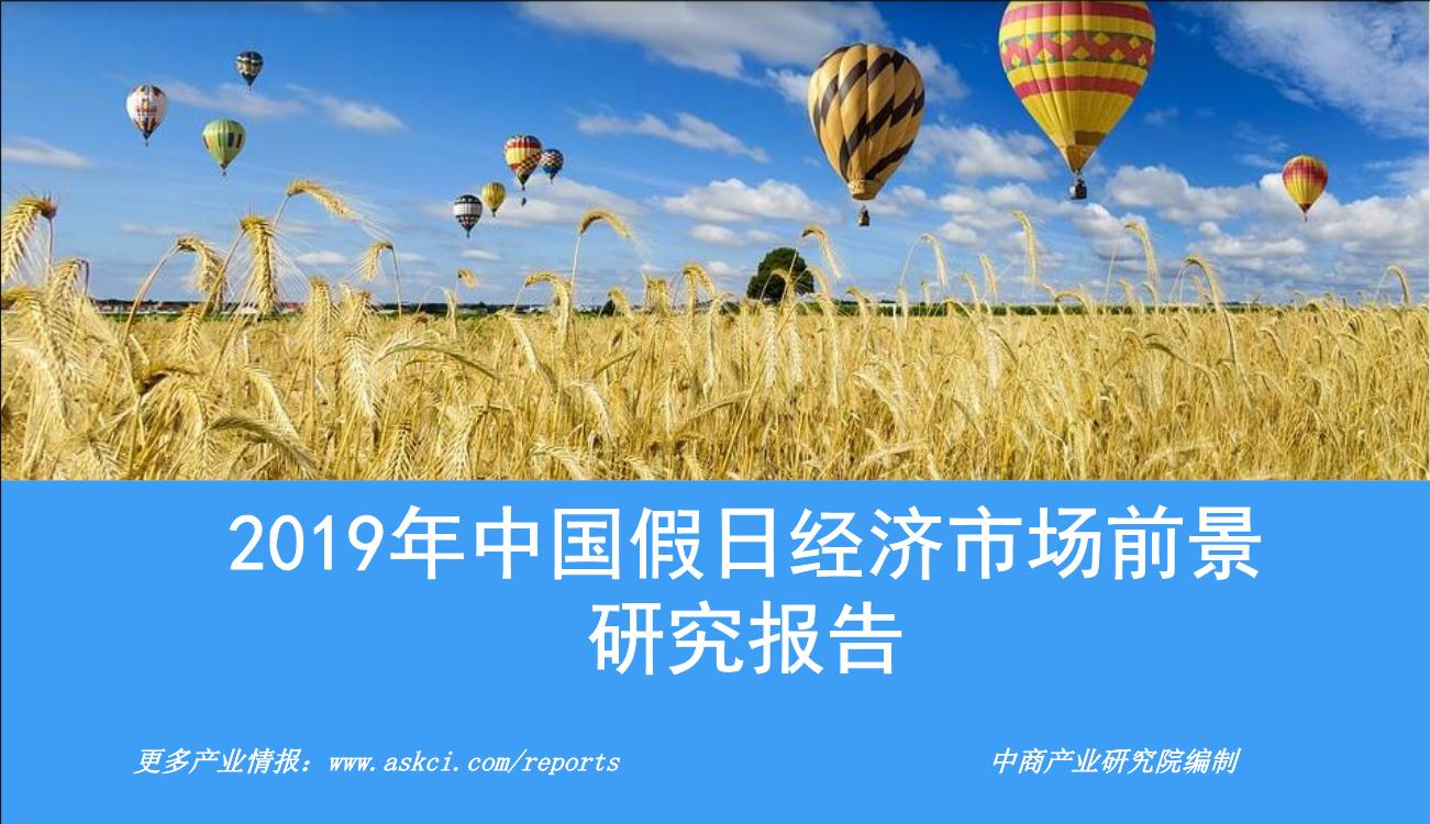 2019年中国假日经济市场前景研究报告