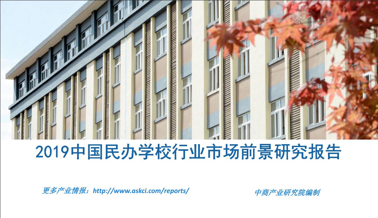 2019年中国民办学校行业市场前景研究报告