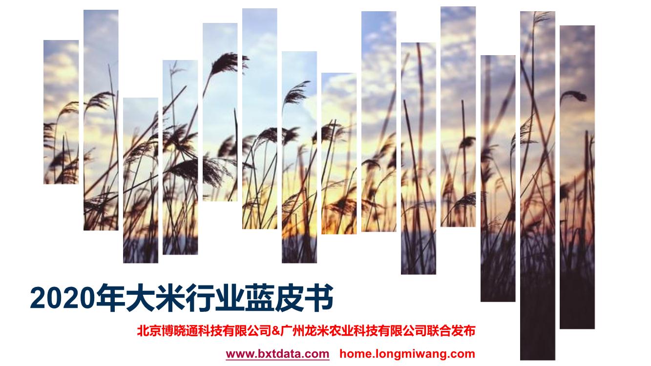 2020年大米行业蓝皮书
