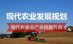 現代農業發展規劃